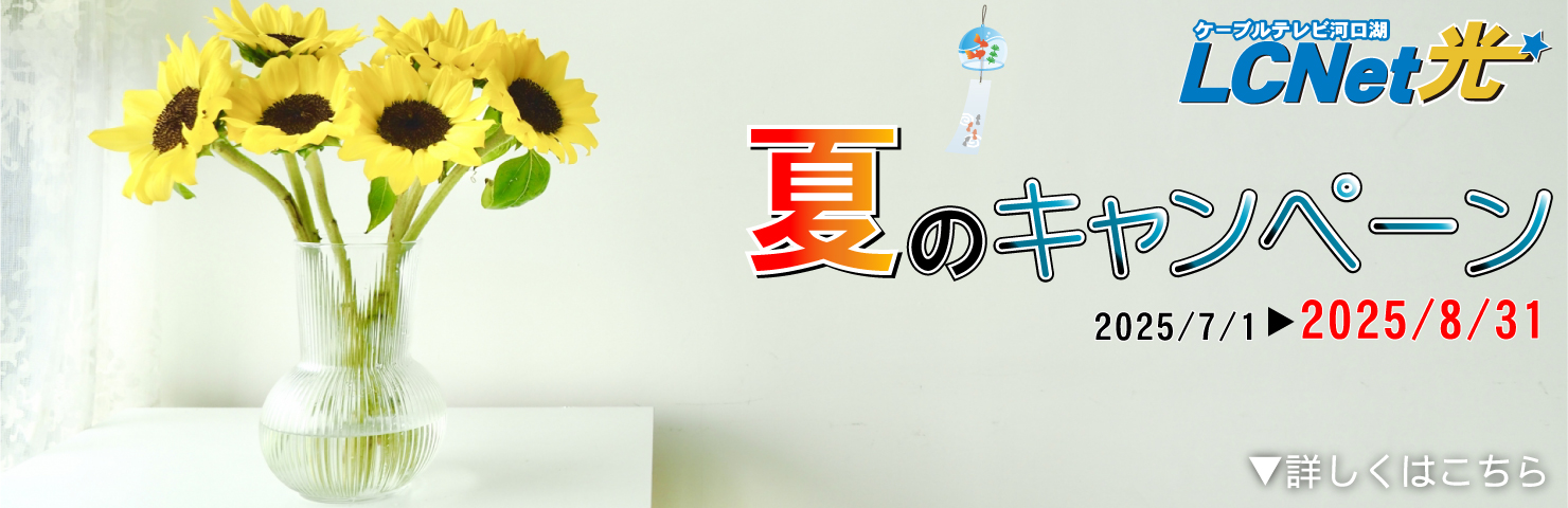 LCNet光 夏のキャンペーン